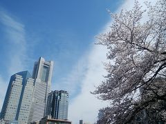 春爛漫、桜の花だより　その②