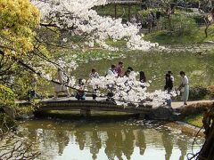 久しぶりに皇居・東御苑を訪問しました①大手門～二の丸庭園～汐見坂まで