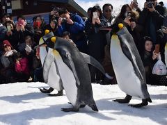 巡るJapan　北海道　旭山動物園