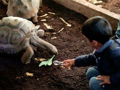 卒園旅行 in東伊豆♪いきもの好き兄弟とiZoo＆シャボテン公園（前編）