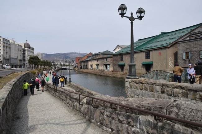 札幌市内のホテルにステイして、旭川、小樽とレンタカーで動きました。旭川編は別の旅行記です。この運河周辺は何回も来ていますが、少し暖かい方が散歩しやすくていいです。