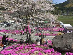 芝桜園 花の森・徳重に芝桜を見に