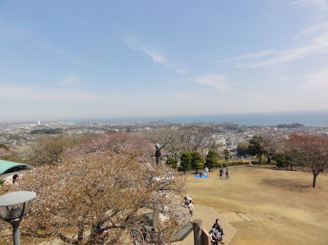 毎年、友人のお誘いで行くお花見、今年のお花見は日立方面でした。かみね公園や日立駅前の桜並木、赤羽緑地の水芭蕉、千波湖の桜を見ました。お喋りも楽しい一日、起床から就寝まで9,873歩、頑張った感ありました。