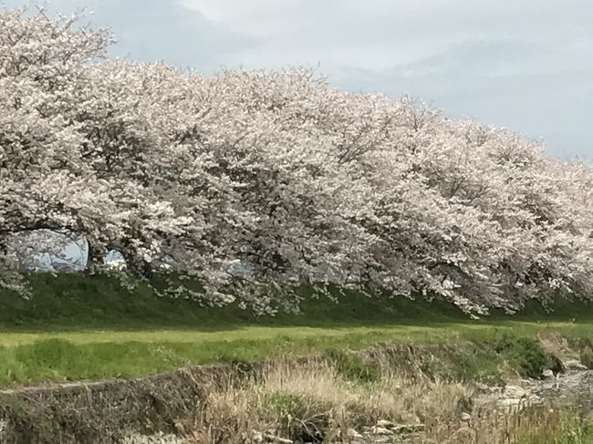 休みができたので、仕事終わりに近場のいつもの温泉