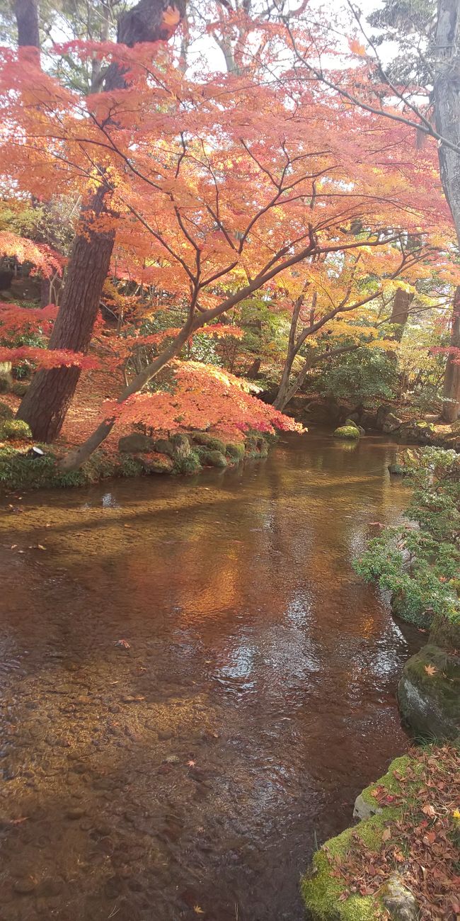 初めて金沢を訪れました。<br /><br />今回はツアーではなく自分達で新幹線、旅館、レンタカーの手配でした。２日間で美味しいものをメインに景色、街並みを満喫出来ました。