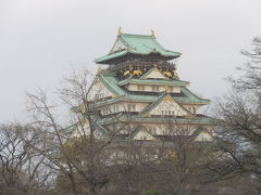 2019大阪3家族旅行記①～大阪へ移動・OSAKA SKYVISTA乗車～