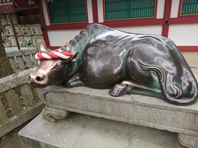 3月の旅行は新幹線で福岡へ♪<br />母と夫3人の旅なのでのんびりゆっくり。美味しいものをたくさん食べる旅に。<br />3人ともいっぱい食べてふくふくになって帰って来ました。<br /><br />旅行時期は新元号「令和」の発表前。こんなにも話題になるとは思いませんでした。<br />（ちなみに話題となっている坂本天満宮は素通り。。残念！）<br /><br />ホテルの方に勧められた博多駅からのバスで移動しましたが、これが大正解！楽に移動できました。<br /><br />1日目→ホテル近くの観光。<br />2日目→太宰府へ。<br />3日目→レンタカーで長崎ハウステンボスへ。<br />4日目→午前中の新幹線で帰る。