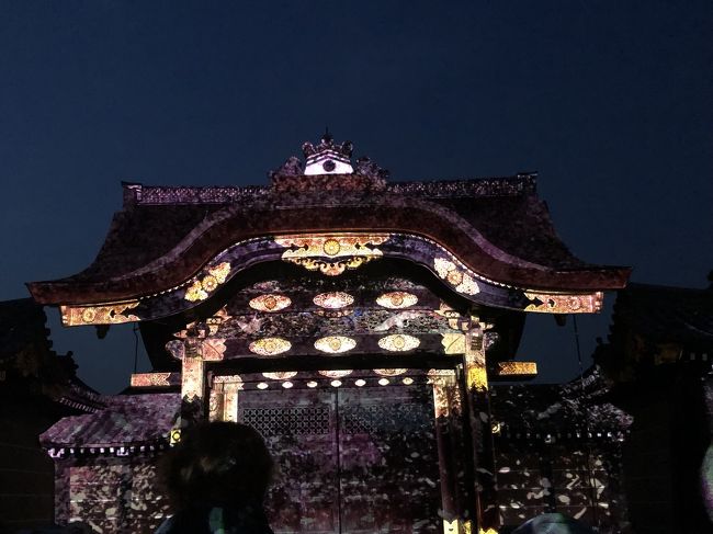 春の京都旅行、修学旅行以来の京都観光は伏見稲荷から始めます!外国人にも大人気の千本鳥居を観て、お昼はたかばしの人気店でラーメン、夜は二条城桜まつりを観に行きました。
