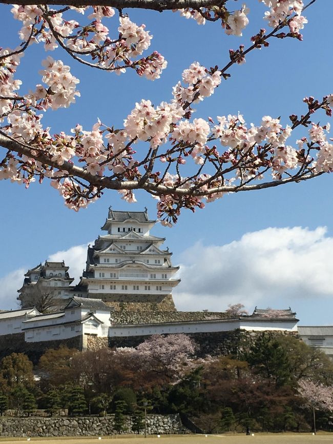 京都4月②～桜を追いかけて京都から姫路城へ！そして、旅のしめはこれ！やっぱり桜のパフェ笑