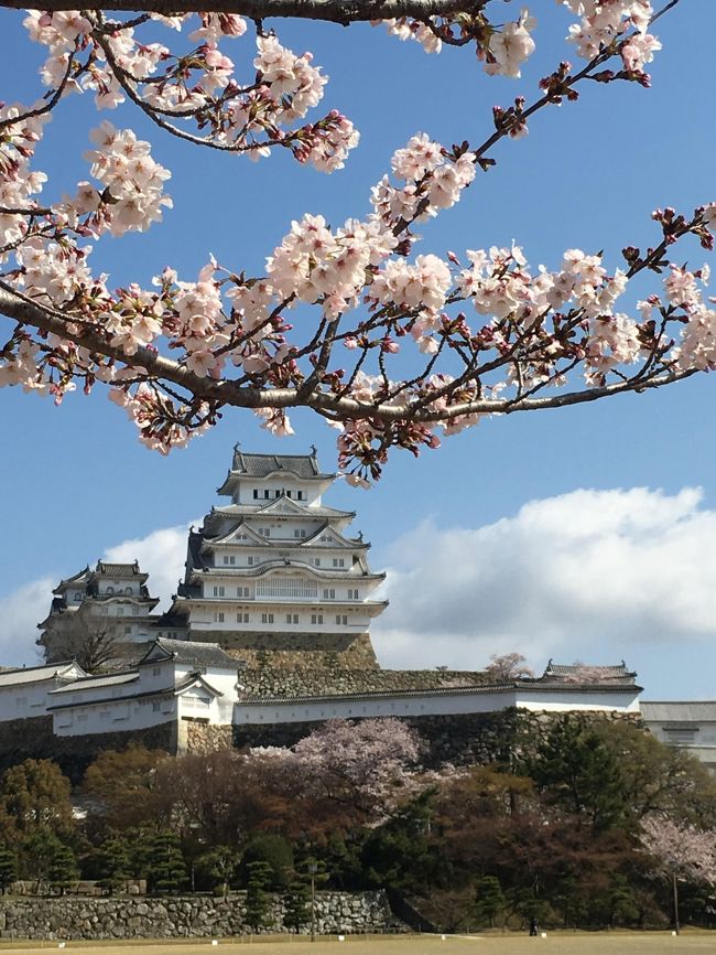 今回の旅は、とにかく桜!桜と言えば、姫路城がすばらしいと聞いていたので、足をのばしてみることに。お城と桜の贅沢なコラボレーションがすばらしい!頭の中を大奥のテーマが鳴り響く中、官兵衛さんや千姫さまに思いをはせて・・・
