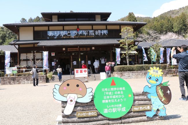 間もなく平成の時代も終わり、令和の時代を迎えます。<br />春麗らかな日に道路地図を見ていて、面白いことを思いつきました。<br />それは『明治・大正・昭和・平成の名が付く村を一日で巡ってみよう!』ということです。<br />愛知県と岐阜県には明治村・大正村・昭和村・平成村と名がつく観光地が4つも揃っており、至近距離に住む者として居ても立っても居られなくなりました。桜が満開で絶好の天気。どこにも行かないのは勿体無い!<br />明治・大正・昭和・平成の名残りを惜しんで桜が満開の中を一気に駆け巡り、人けのない山を登って明知城址、岩村城址にも訪れ、随分と欲張って回った一日でした。