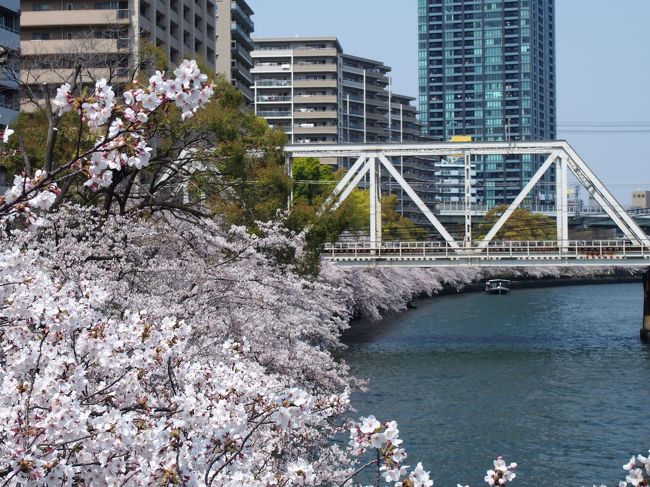 ２０１９年の桜は、ゆっくりと開花。例年より５日から１週間ほど遅い。<br />おかげさまで週末は見ごろを迎えた。満開まではあと１～２日というところ。<br />JR桜の宮から天満まで歩き、そのあと大阪城公園まで桜を求めてぶらぶらと。。。