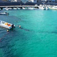 GOGO高知ツアー 2.３日目 足摺岬の土佐清水・大岐の浜三泊飲み食い滞在備忘録編