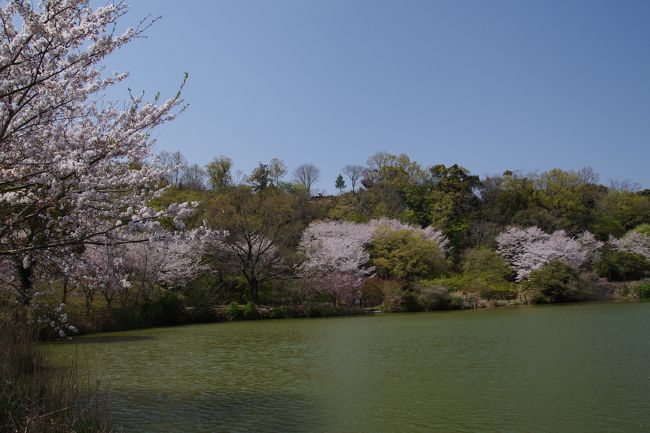 2019年4月6日(後半）会議で帰国＆伊豆長岡旅行