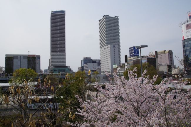 2019年4月7日会議で帰国＆伊豆長岡旅行