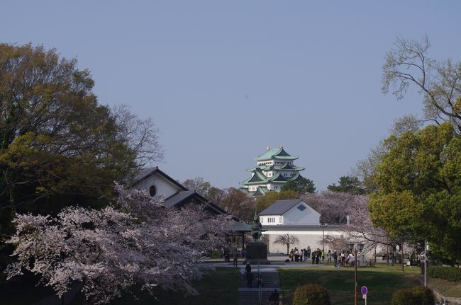 春の名古屋城へ行きました。