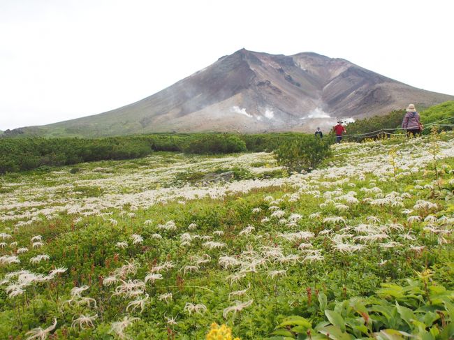 北海道マラソンとセットにした旭岳温泉の旅行記です。<br /><br />登山は本格的にはしていませんが、森林限界を抜け、高山植物の花畑を見ながら散歩するのは好きで、旭岳トレッキングをセットにしました。<br /><br />高山植物が満開の時期、また紅葉の時期は大変混雑する様です。8月下旬はその合間になるようで、人はそこまで多くなく、のんびりと楽しめました。<br /><br />翌夏に立山黒部アルペンルートを再訪するきっかけにもなりました。<br /><br />【旅程】<br />DAY1:羽田→新千歳、前日選手受付<br />DAY2:北海道マラソン完走、富良野駅~ラベンダー畑駅(ノロッコ乗車)、旭岳温泉ディアバレーチェックイン<br />DAY3:旭岳ロープウェー乗車、トレッキング1時間、美瑛カレー、ベアモンテ温泉、渓流釣り<br />DAY4:美瑛景色観光、旭川空港→羽田<br /><br />DAY1~2の旅行記<br />https://4travel.jp/travelogue/11464968<br />https://4travel.jp/travelogue/11464981