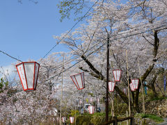 四国「さくら名所１００選の地」を訪ねる・その２＜牧野公園＞