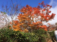 栗駒山登山秋編