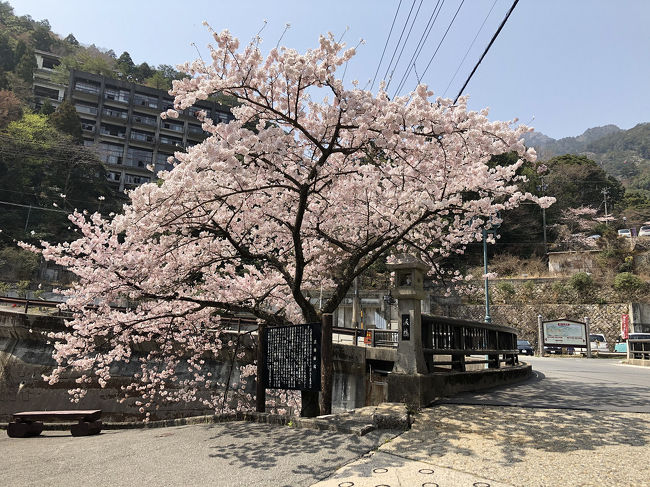 今回は「じゃらん遊び・体験」の<br />イタリアン:日帰りスタンダードプラン【ランチ+スイーツ+入浴】トップシェフプロデュース「癒し」と「食」満喫「12月~」を利用してSNS映えで話題のアクアイグニスへ<br /><br />プラン内容は<br />・奥田政行シェフのイタリアンランチ<br />「サーラ ビアンキ アル・ケッチァーノ」ランチ<br /> ランチメニュー<br /> 前菜2種/フォカッチャ/メイン(魚料理or肉料理)<br /> パスタ/本日のドルチェ/コーヒー<br /><br />・辻口博啓パティシエのスイーツ<br />「コンフィチュールH」ケーキセット<br /><br />・源泉かけ流し100%の「美人の湯」入浴付き<br /><br />大人1名5800円のプラン<br /><br /><br />そして、ちょうど桜の満開期だったので<br />三重県の人気お花見スポット6位「湯の山温泉」にもぷらっと行ってみたので<br />そちらも一緒にご紹介します。<br /><br />