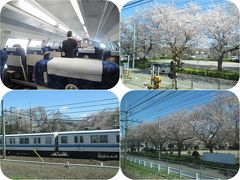 日帰り青春18きっぷで桜を愛でる旅 2 湘南新宿ライン 新宿から久喜まで 新宿 東京 の旅行記 ブログ By Happinさん フォートラベル 日帰り青春18きっぷで桜を愛でる旅 2 湘南新宿ライン 新宿から久喜まで 新宿 東京 の旅行記 ブログ By Happinさん フォートラベル