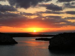 喜びの島『喜界島』へ