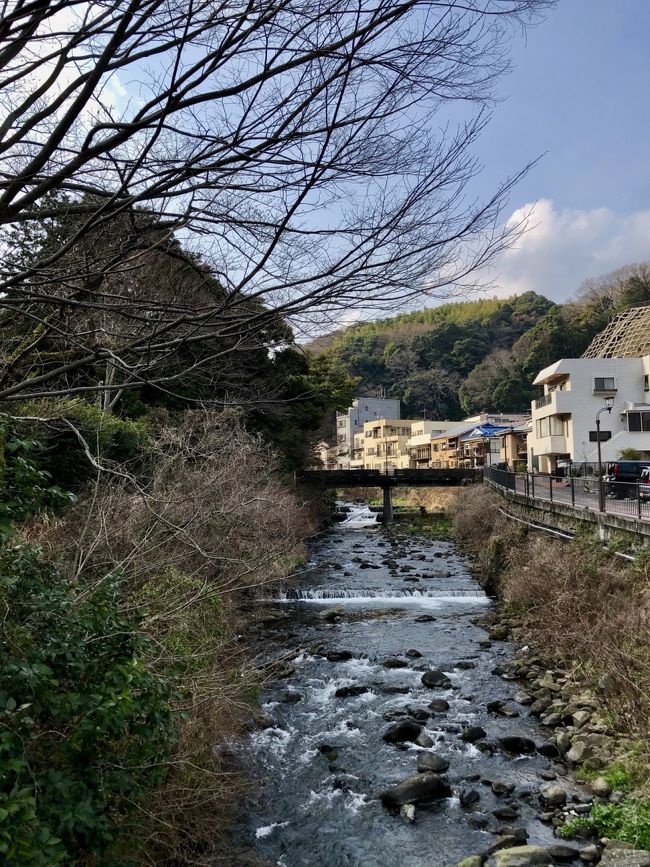 10数度目の結婚記念日。<br /><br />何度か利用しているフレンチレストランでお祝いしました。<br /><br />いつもは車で行くため飲めませんが、今日はお祝いですから電車で。<br /><br />ランチを愉しみ、温泉にも浸かって帰りました。<br />