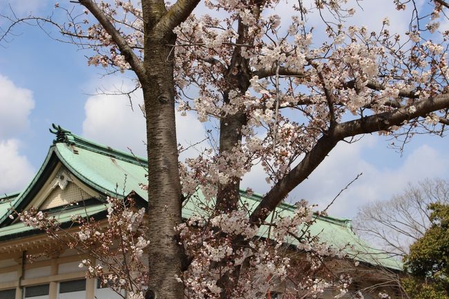 ３月９日(土)と４月２日(火)、京都に行く機会がありました。<br />お天気に恵まれた両日、古都(=京都)に出かけられるということでカメラを持参・・♪<br />備忘録的な旅行記になりましたが、作成してみました(^^)