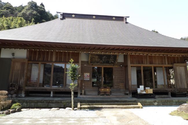 　神奈川県小田原市にある紹太寺（しょうたいじ）は黄檗宗のお寺で長興山紹太寺という。紹太寺は、当初、開基は小田原城主稲葉正則（春日の局の孫）、開山は僧鉄牛道機として小田原宿に創建された寺である。しかし、寛文9年（1669年）、現在地に移された。かつては大伽藍を誇ったが、幕末の弘化4年（1847年）、安政年間（1854年～1860年）、さらに明治の大火で焼失した。現在は子院があった旧清雲院跡に移っている。<br />　参道から長い石段を上ったところに広大な畑があり、かつての主要伽藍が立ち並んでいた場所である。その上に石段があり、稲葉氏一族の墓が移設されている。<br />　現在の山門と本堂、庫裏は小さなものであるが、かつては大本山京都・萬福寺（https://4travel.jp/travelogue/10405060）の境内よりも遥かに広大な境内であった。<br />　現在の境内には大黒さまと恵比寿さまの石像が多く見受けられるが、石屋が置いていったものだという。住職に京都・萬福寺の方丈横の庭園について尋ねると、「大本山は多少は公開が厳しくなっているが、最近では庭園も公開し、クラブツーリズムのツアーのやって来る。」という。「どうしても、萬福寺の庭園を見たいというのであれば、私が紹介状を書きますよ。」とも言われた。そして、スマホの庭園の写真を見せてくれた。漆喰で固めた白と青の富士山が写っている。隠元和尚が3代将軍家光に江戸に呼び出され、途中で見た富士山に感銘したという故事に基づき、近年に造られた富士塚なのだという。<br />　帰ってからWebで検索すると、萬福寺の庭園公開に参加したというブログがあり、この富士塚の写真も掲載されていた。<br />（表紙写真は紹太寺本堂）