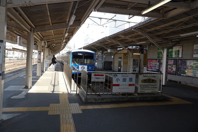 　伊豆箱根鉄道大雄山線（だいゆうざんせん）は小田原駅と神奈川県南足柄市の大雄山駅とを結ぶ、路線距離（営業キロ）が9.6kmの鉄道路線である。大正14年（1925年）10月15日 、仮小田原～大雄山間が開業した。現在では駅数は12駅あり、全区間で、ICカード乗車券PASMO・Suicaが利用可能である。<br />　軌間は狭軌（1067mm）で、緑町駅近くに半径100mの急曲線があるため、車体長20mの大型車両は入線できず、専ら17-18m級の中型車両が使用されている。小田原駅の東口東京方面の外れに駅があり、3両編成の車両はいかにもローカル線といった雰囲気である。ただし、終点には曹洞宗寺院の大雄山最乗寺（大雄山駅からバスで10分。さらに徒歩5分。）があり、その1つ手前に富士フイルム前駅がある。しかし、通勤は小田原奥地では電車よりも自家用車が一般的であろうか？<br />　今回は間違えて伊豆箱根鉄道大雄山線小田原駅に入ってしまった。12分に1本の間隔で電車が運行されており、発車まで時間があったので、売店で大雄山最乗寺には枝垂れ桜があるかどうかを聞いたりしていた。しかし、路線に目的地の駅名がないことに気が付き、改札の駅員に聞いてみた。小田急の改札を入った一番奥から発射しているということだ。入場記録を消去してもらい、小田急改札へ向かった。<br />（表紙写真は伊豆箱根鉄道大雄山線小田原駅）