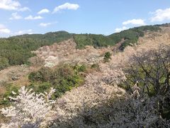 中年女子、高野山と吉野千本桜の旅へ行く！②