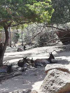 1歳と6歳の子連れ旅行　4日目、5日目