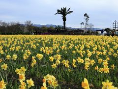 和泉リサイクル環境公園