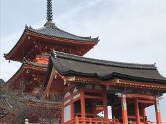 春の京都で観光とグルメを満喫2019&#127925;②