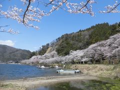 青春18切符　おばちゃんたちで桜旅