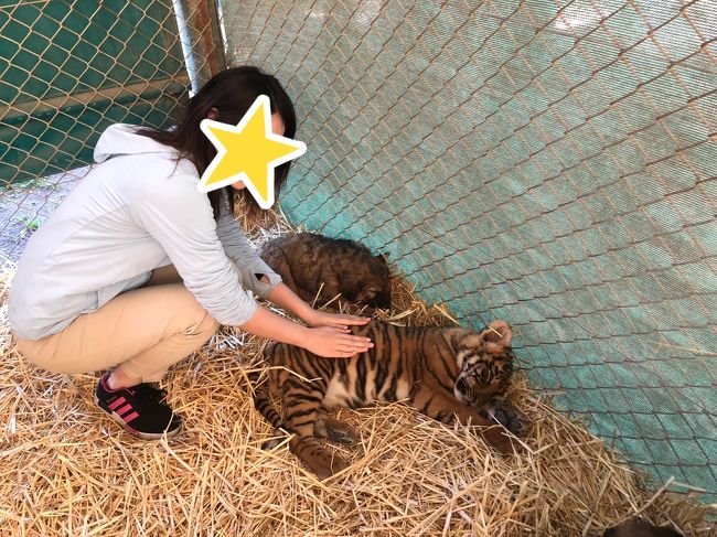 アルゼンチン編②あの猛獣と触れ合えるルハン動物園へ！