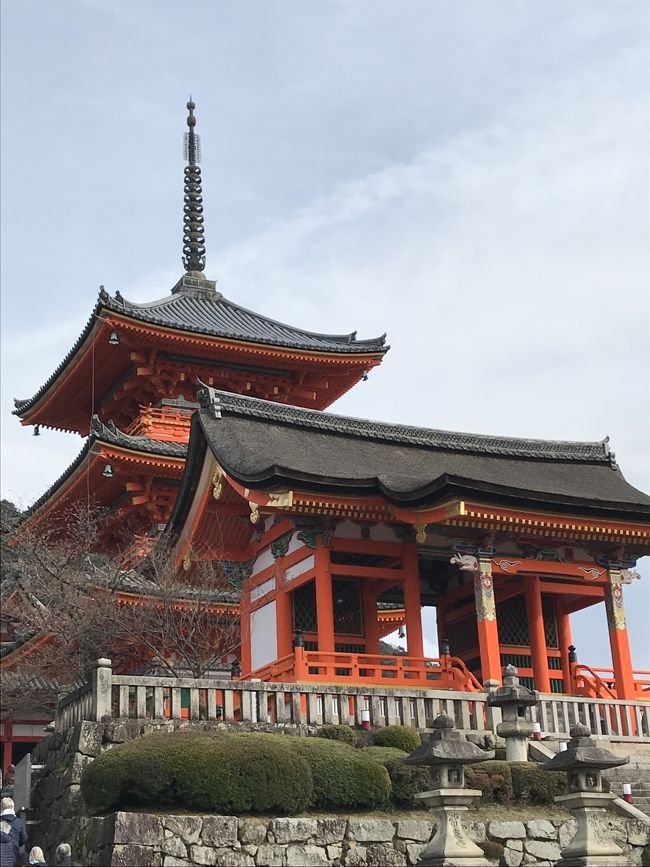 京都御所の枝垂れ桜と迎賓館見学の後は、錦市場散策と超人気店でランチ、祇園方面のお散歩など！