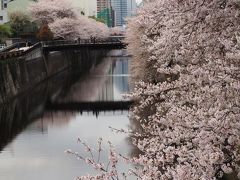 天気が良いのでクロスバイクで家の近所のお気に入りスポットを一回り