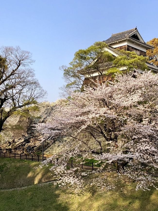 太宰府に行こうかなぁと思っていたところ、熊本の友人から&quot;だったら、桜満開の熊本城見にこない？&quot;と誘われて。<br />1泊2日の予定が現地で由布院を追加して2泊3日に変更。LCCのおかげで九州がとっても近くなりました。