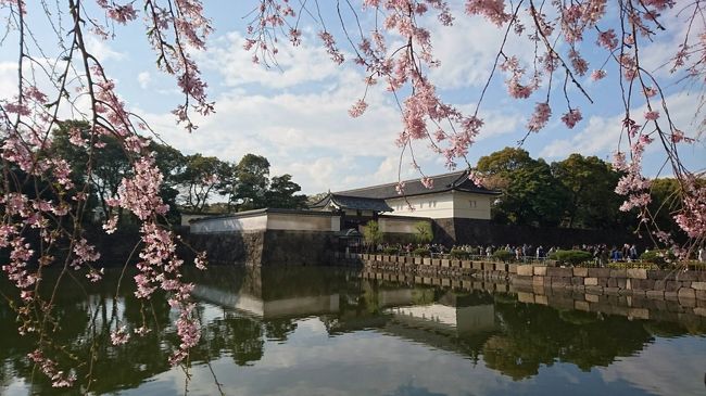 ＜大手町・靖国神社・飯田橋＞桜花爛漫　街歩き