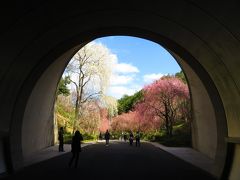 MIHO MUSEUM 特別展 大徳寺龍光院 国宝 曜変天目と破草鞋2019年4月 ４