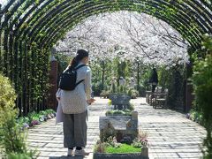 Japan　Nii's holiday ③ in Yokohama English Garden ～ミツバチばあやの冒険～