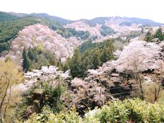 三万本の桜が織りなす吉野山の平安絵巻