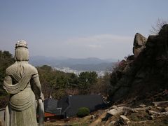 2019年3月エアプサンで行く韓国・盈徳、安東、大邱、釜山の旅（4）釜山金剛公園で桜を見てきました。