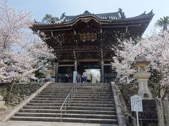 御朱印ガールが行く！2019②桜の粉河寺と一目十万本の桃源郷