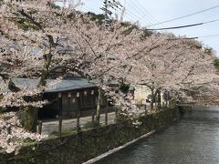 城崎温泉　外湯めぐり　まつや旅館　予想していなかったけど良い便利なお宿でした！