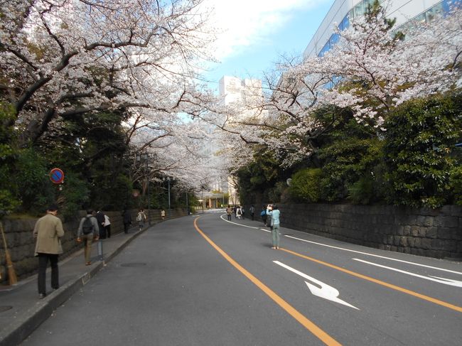 ３月後半になり東京品川・大崎近辺でも桜が咲き始めました。<br />今年は桜が満開になるのが少し早いような気がします。