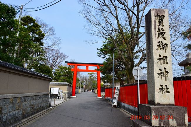 2019春 『そうだ！京都、行こう！』パワースポット下鴨神社～鴨川先斗町までを散策《1日目-2》
