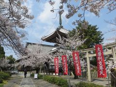 2019春の京都　桜を静かに愛でる穴場旅／前半