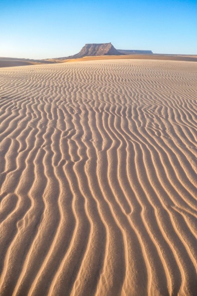モーリタニアでサハラ砂漠を満喫6モン・エデルグへ